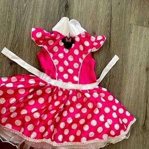Official Minnie mouse costume